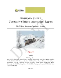 Cumulative Effects Assessment Report