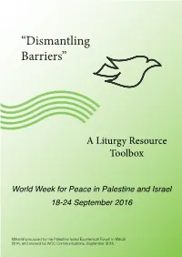 “Dismantling Barriers”