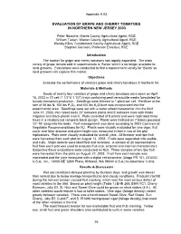 Evaluation of Grape and Cherry Tomatoes in Northern New Jersey 2003