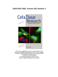 ISSN 0302-766X, Volume 340, Number 3