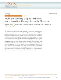 Niche Partitioning Shaped Herbivore Macroevolution Through the Early Mesozoic ✉ Suresh A