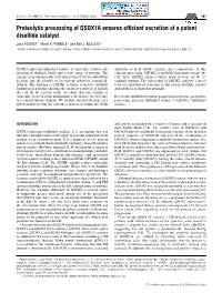 Proteolytic Processing of QSOX1A Ensures Efficient Secretion of A