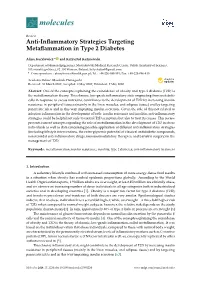 Anti-Inflammatory Strategies Targeting Metaflammation in Type 2 Diabetes