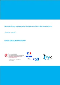 Background Report
