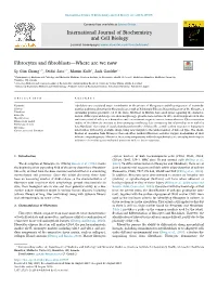 Fibrocytes and Fibroblasts—Where Are We