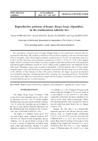 Reproductive Patterns of Bogue, Boops Boops (Sparidae), in the Southeastern Adriatic Sea
