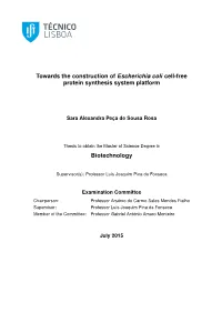 Towards the Construction of Escherichia Coli Cell-Free Protein Synthesis System Platform