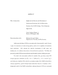 ABSTRACT Title of Dissertation: Insight Into the Structure And