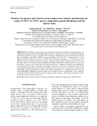 Medusae (Scyphozoa and Cubozoa) from Southwestern Atlantic And