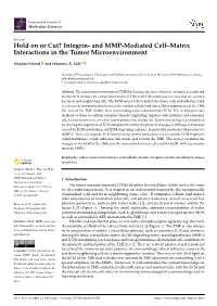 And MMP-Mediated Cell–Matrix Interactions in the Tumor Microenvironment