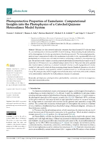 Photoprotective Properties of Eumelanin: Computational Insights Into the Photophysics of a Catechol:Quinone Heterodimer Model System