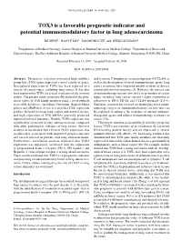 TOX3 Is a Favorable Prognostic Indicator and Potential Immunomodulatory Factor in Lung Adenocarcinoma