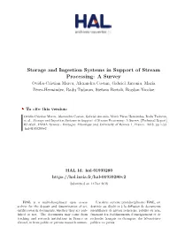 Storage and Ingestion Systems in Support of Stream Processing