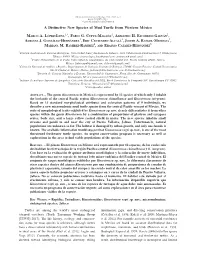A Distinctive New Species of Mud Turtle from Western M´Exico