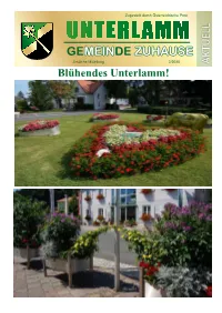 Neue Unternehmen in Unterlamm