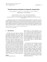 Transformation Mechanism of Magnetite Nanoparticles