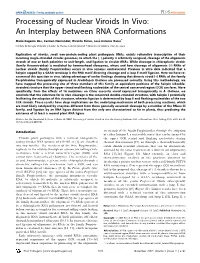 An Interplay Between RNA Conformations