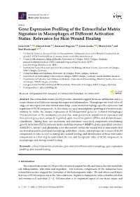 Gene Expression Profiling of the Extracellular Matrix Signature In