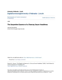 The Serpentine Essence of a Chancay Gauze Headdress