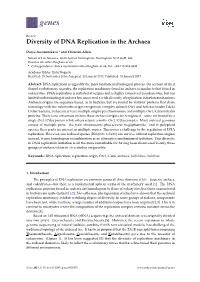Diversity of DNA Replication in the Archaea