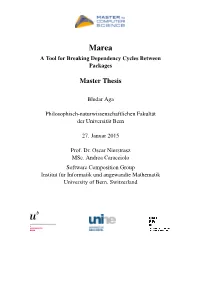 Master Thesis