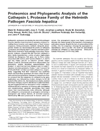 Proteomics and Phylogenetic Analysis of the Cathepsin L