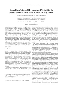 A Small Interfering ABCE1 -Targeting RNA Inhibits the Proliferation And
