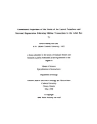 Commissural Projections of the Nuclei of the Lateral Lemniscus and Keuronal Degeneration Following Midline Transections in the Adult Rat By