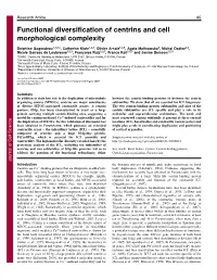 Functional Diversification of Centrins and Cell Morphological Complexity