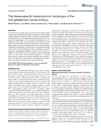 The Tissue-Specific Transcriptomic Landscape of the Mid-Gestational Mouse Embryo Martin Werber1, Lars Wittler1, Bernd Timmermann2, Phillip Grote1,* and Bernhard G