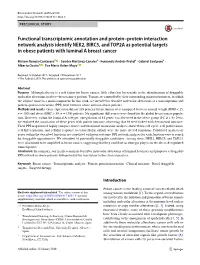 Functional Transcriptomic Annotation and Protein–Protein Interaction