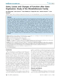 Gains, Losses and Changes of Function After Gene Duplication: Study of the Metallothionein Family