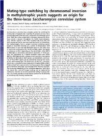 Mating-Type Switching by Chromosomal Inversion in Methylotrophic Yeasts Suggests an Origin for the Three-Locus Saccharomyces