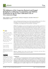 The Influence of the Grapevine Bacterial and Fungal Endophytes