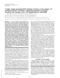 Cryptic Single-Stranded-DNA Binding Activities of the Phage P And