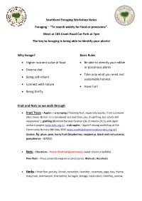 Foraging Workshop Notes