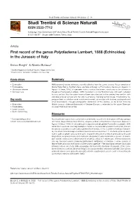 03 Borghi.Pdf