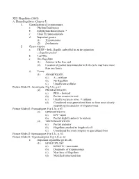 1. Classification of Trypanosomes A. Phylum Euglenazoa B. Subphylum Kinetoplasta * C