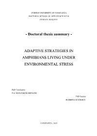 Doctoral Thesis Summary