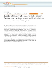 Greater Efficiency of Photosynthetic Carbon Fixation Due to Single Amino