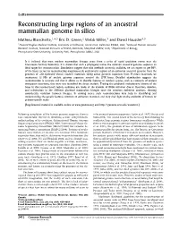 Reconstructing Large Regions of an Ancestral Mammalian Genome in Silico