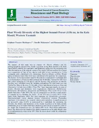 View Full Text-PDF