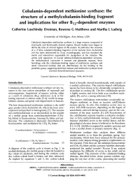 Cobalamin-Dependent Methionine Synthase: the Structure of a Methylcobalamin-Binding Fragment and Implications for Other B12-Depe