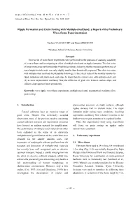 Ripple Formation and Grain Sorting with Multiple-Sized Sand: a Report of the Preliminary Wave-Flume Experimentation