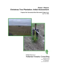 Executive Summary This Report Satisfies the Phase 1 Requirements of the Greenwood New Brunswick Project Ltd