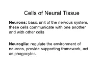 Neuron Basics