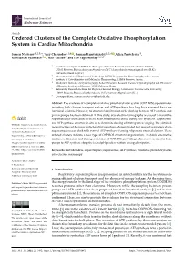 Ordered Clusters of the Complete Oxidative Phosphorylation System in Cardiac Mitochondria