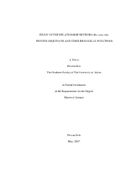 STUDY of the RELATIONSHIP BETWEEN Mus Musculus PROTEIN SEQUENCES and THEIR BIOLOGICAL FUNCTIONS a Thesis Presented to the Gradua