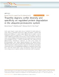 Tripartite Degrons Confer Diversity and Specificity on Regulated Protein