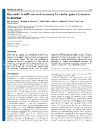 Myocardin Is Sufficient and Necessary for Cardiac Gene Expression in Xenopus Eric M